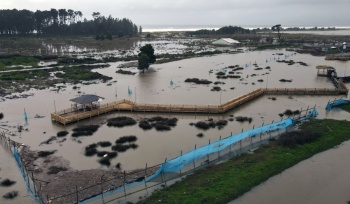 M&aacute;s de medio mill&oacute;n de personas quedan sin luz en Chile por fuerte temporal