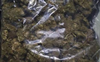 SSC asegura 54 kilos de marihuana en operativo en Venustiano Carranza