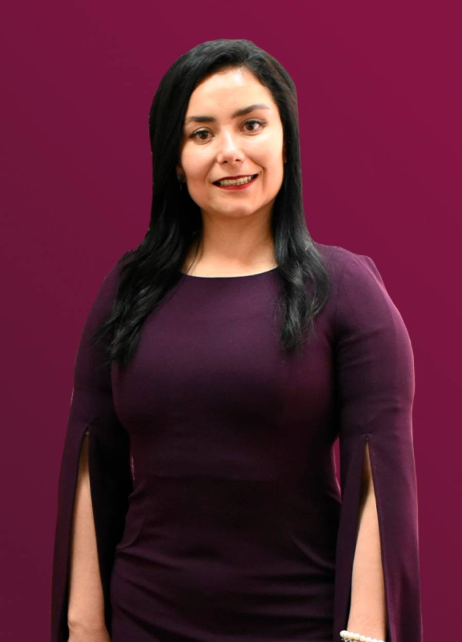 Morena plantea reservar 42 alcald&iacute;as de Hidalgo para candidaturas de mujeres en 2027