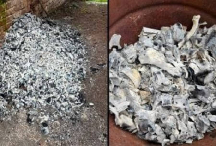 Madres Buscadoras denuncian hallazgo de crematorio clandestino en Jalisco