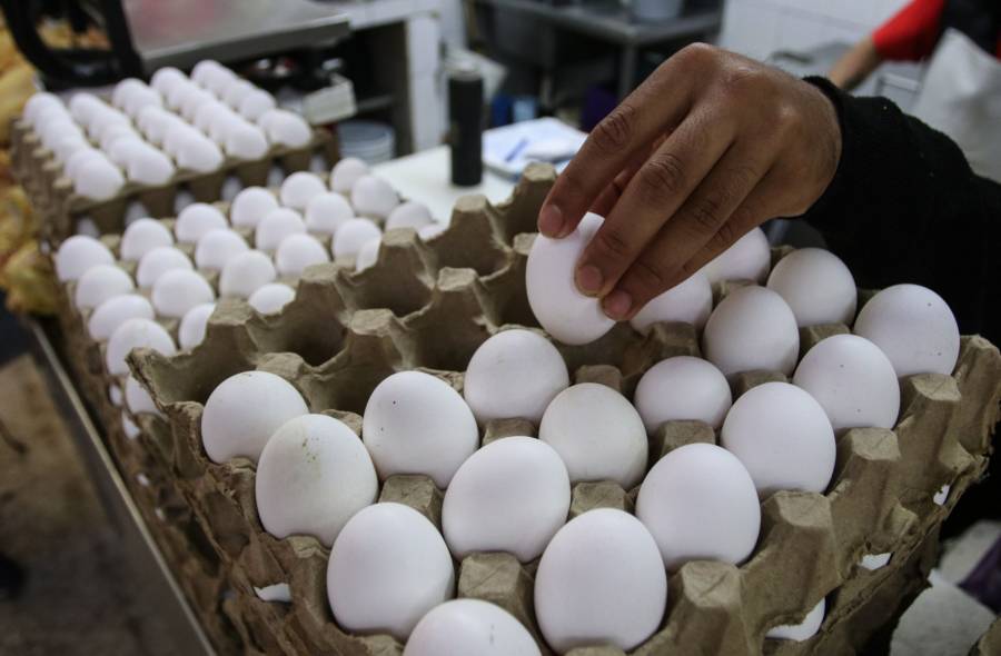 Retiran 1.5 millones de docenas de huevos en EE.UU. por posible contaminación con salmonela
