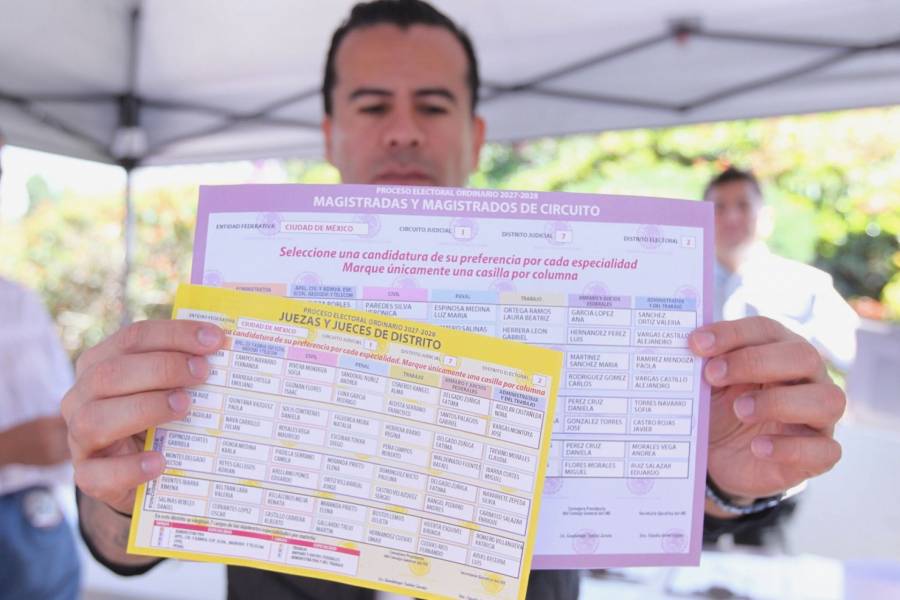 INE planteará voto separado para listas plurinominales en 2027