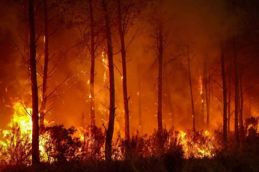 Incendios en Francia, España y Portugal arrasan 235 mil hectáreas y obligan a evacuar a 300 mil personas    