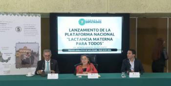 Diputados presentan plataforma “Lactancia materna para todos”