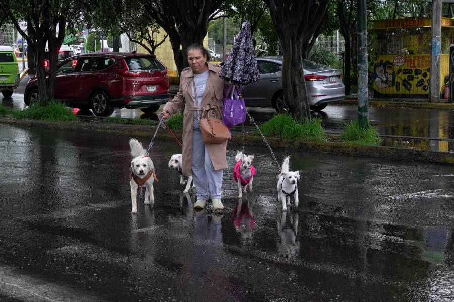 Prev&eacute;n temperaturas frescas por la ma&ntilde;ana y ambiente templado en el Valle de M&eacute;xico