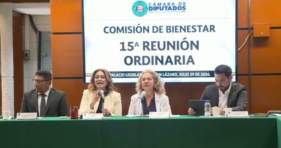 Comisión de Bienestar desecha iniciativa sobre simplificación administrativa para personas con discapacidad