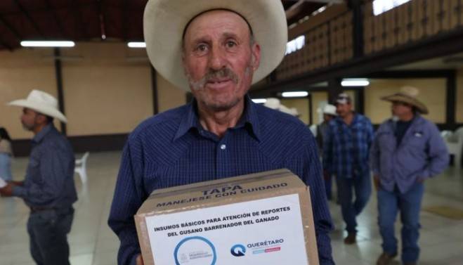 Quer&eacute;taro entrega kits para atender casos de gusano barrenador