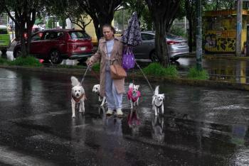 Prev&eacute;n temperaturas frescas por la ma&ntilde;ana y ambiente templado en el Valle de M&eacute;xico