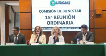 Comisi&oacute;n de Bienestar desecha iniciativa sobre simplificaci&oacute;n administrativa para personas con discapacidad