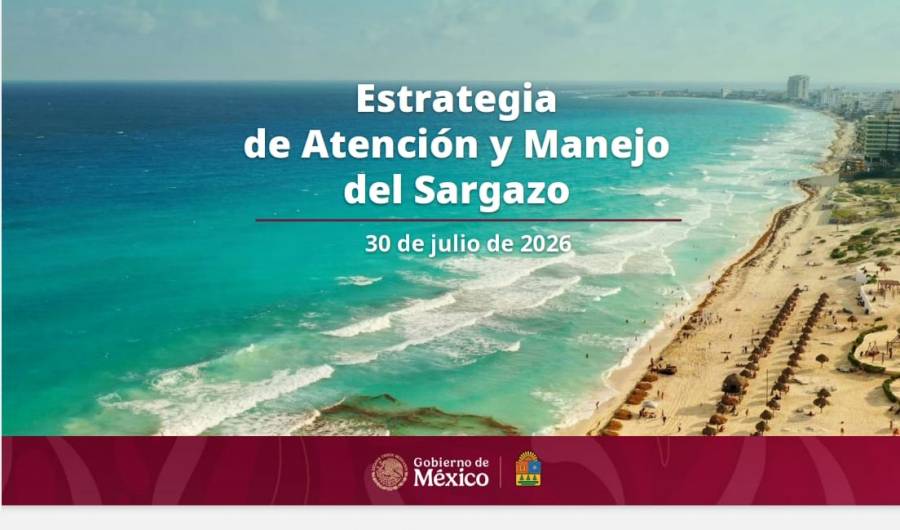 México busca cooperación internacional para enfrentar el sargazo; anuncian encuentro científico en Cancún