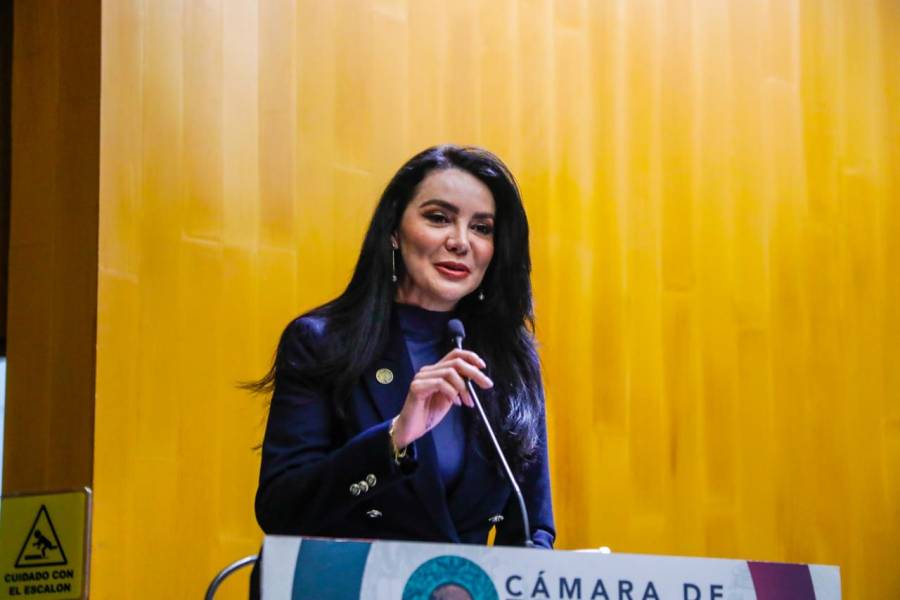 Gabriela Jim&eacute;nez plantea revisar cobros por aprovechamiento del espacio a&eacute;reo mexicano rumbo al Paquete Econ&oacute;mico 2027