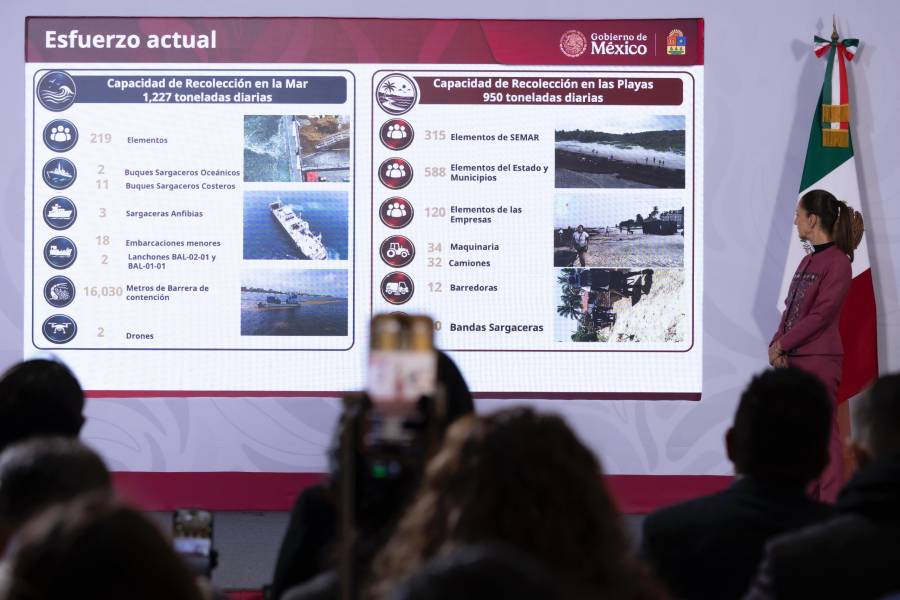 México enfrenta en 2026 el peor año por sargazo; anuncia estrategia integral