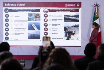 M&eacute;xico enfrenta en 2026 el peor a&ntilde;o por sargazo; anuncia estrategia integral