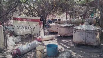 Marina desmantela tres laboratorios clandestinos de drogas sint&eacute;ticas en Sinaloa