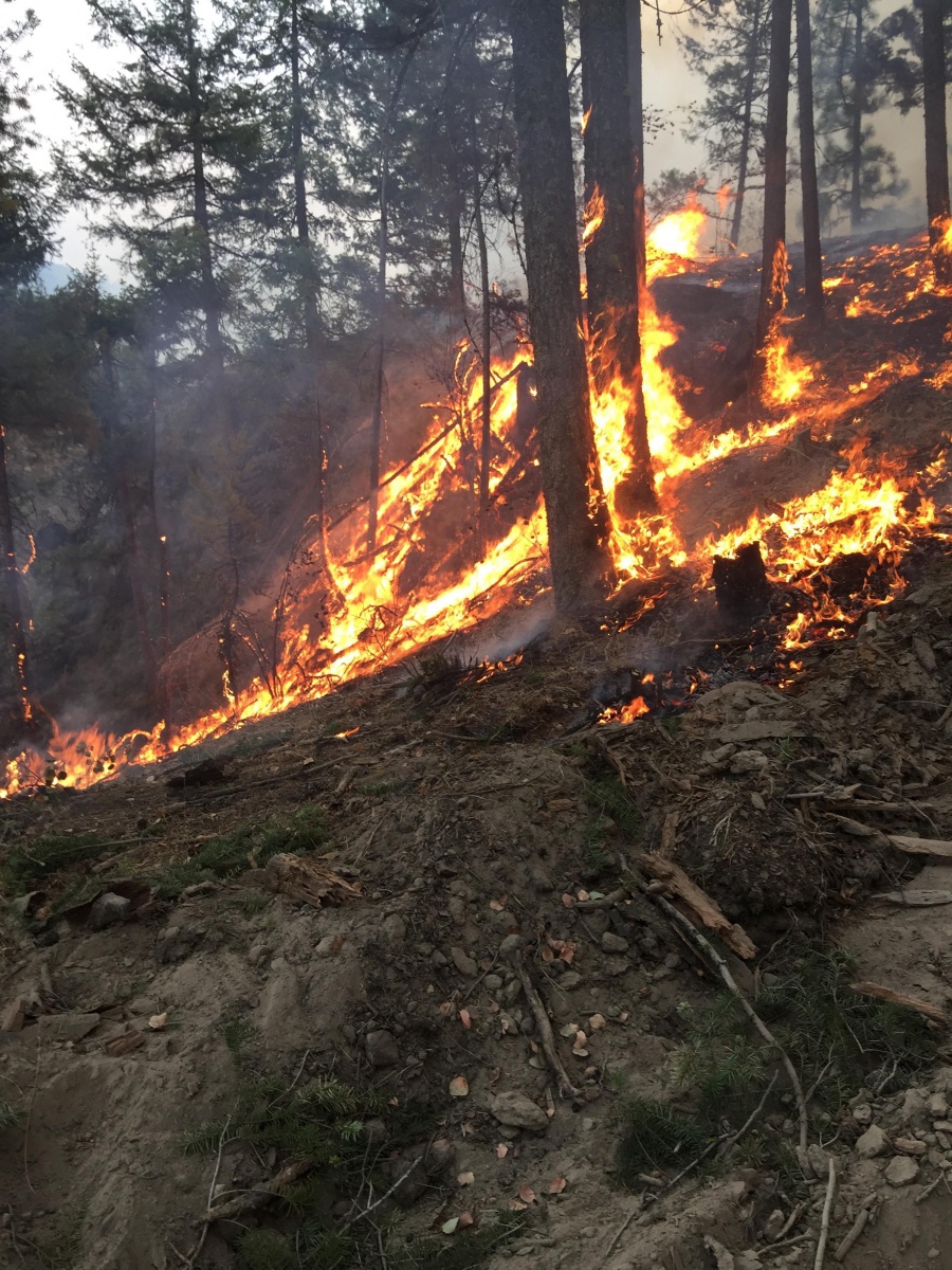 Voraces incendios forestales arrasan Spokane, en el noroeste de EEUU 