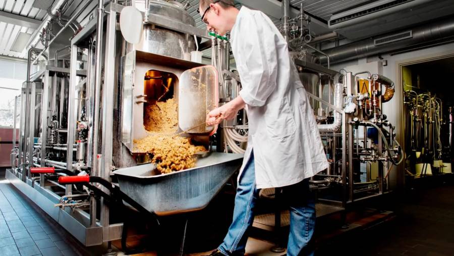 Más que una bebida: ciencia, tradición e innovación
