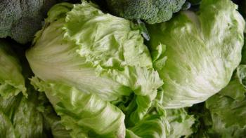 Reino Unido y EEUU alertan por aumento de casos de ciclospora vinculados a Meacutexico
