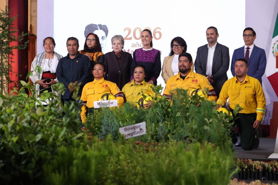 Jornada Nacional de Reforestación movilizará a más de 235 mil personas en todo el país