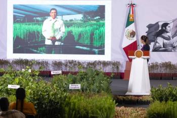 Sheinbaum presenta jornada de reforestaci&oacute;n con 6.6 millones de plantas