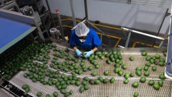 APEAM busca di&aacute;logo con autoridades tras suspensi&oacute;n de exportaci&oacute;n de aguacate