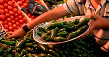 Brote de salmonela en EEUU vinculado a jalapentildeos de Meacutexico