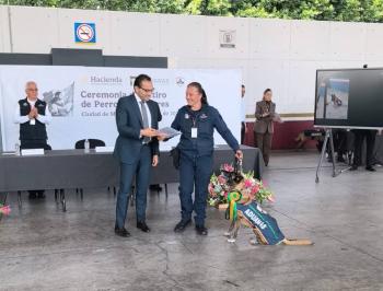 ANAM despide con reconocimiento a perros rastreadores que concluyeron su servicio; ingresa nueva generaci&oacute;n se su Unidad Canina Central