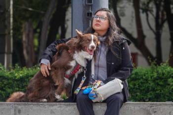 Congreso de CDMX analiza iniciativa para fijar pensioacuten a mascotas tras separacioacuten