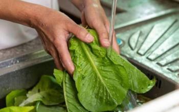 SESA recomienda medidas de higiene para prevenir enfermedades por alimentos