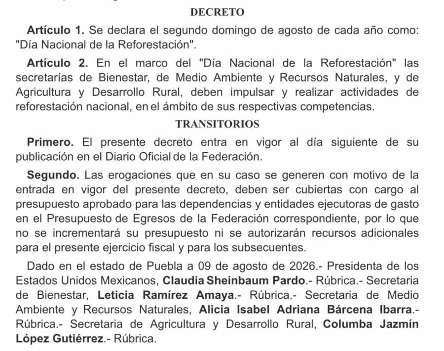 México declara el segundo domingo de agosto como Día Nacional de la Reforestación