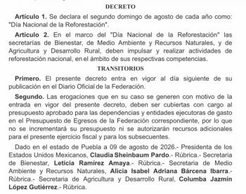 M&eacute;xico declara el segundo domingo de agosto como D&iacute;a Nacional de la Reforestaci&oacute;n