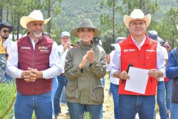 Durango se suma a la Jornada Nacional de Reforestaci&oacute;n con meta de m&aacute;s de 4 mil hect&aacute;reas