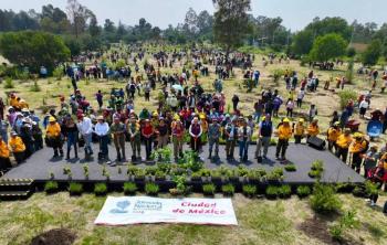 Anuncia Clara Brugada Programa de Reforestaci&oacute;n Urbana para Plantar 500 mil &aacute;rboles y reducir temperaturas en zonas con d&eacute;ficit de arbolado