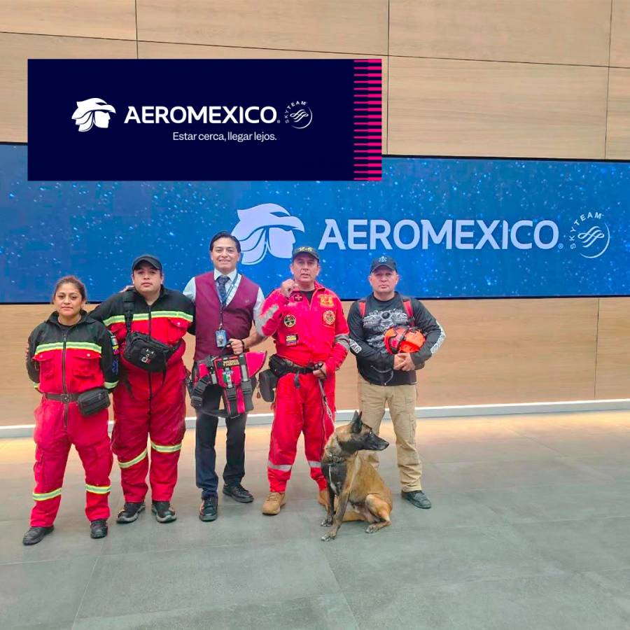 Aeroméxico traslada equipo K9 a Colombia para apoyar rescate tras sismo