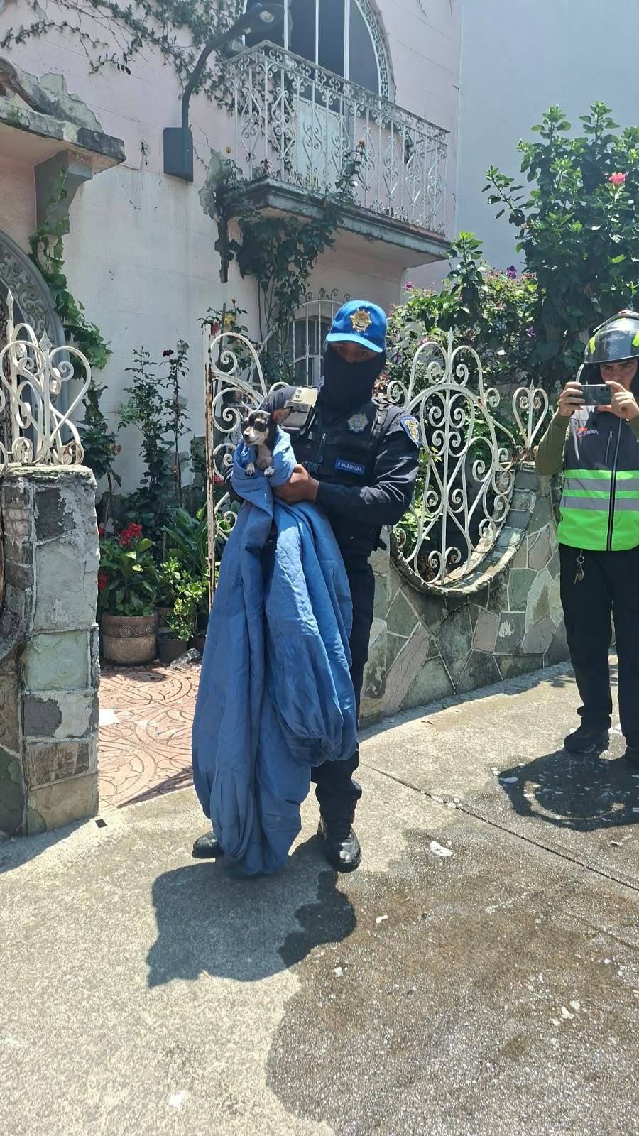 Rescatan elementos de Blindar 360° a dos perros durante incendio en vivienda de la colonia Villa de Cortés