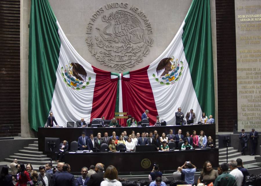 Diputada de Morena plantea reservar 20% de candidaturas para j&oacute;venes