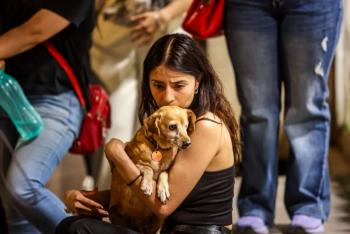 Proponen reglas para permitir mascotas en el transporte p&uacute;blico de CDMX
