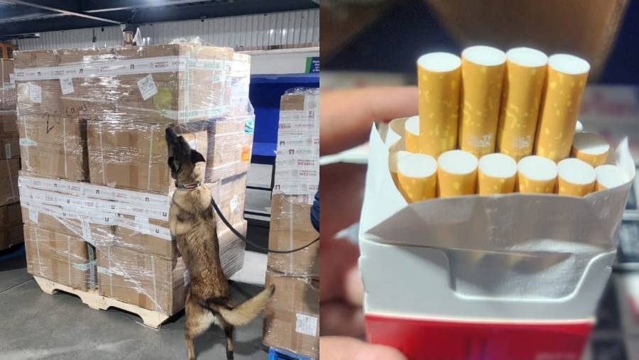 Aseguran más de dos millones de cigarrillos ilegales en el AICM procedentes de Tailandia