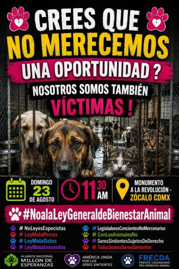 Convocan a marcha nacional en defensa de los animales; rechazan propuesta de Ley General de Bienestar Animal