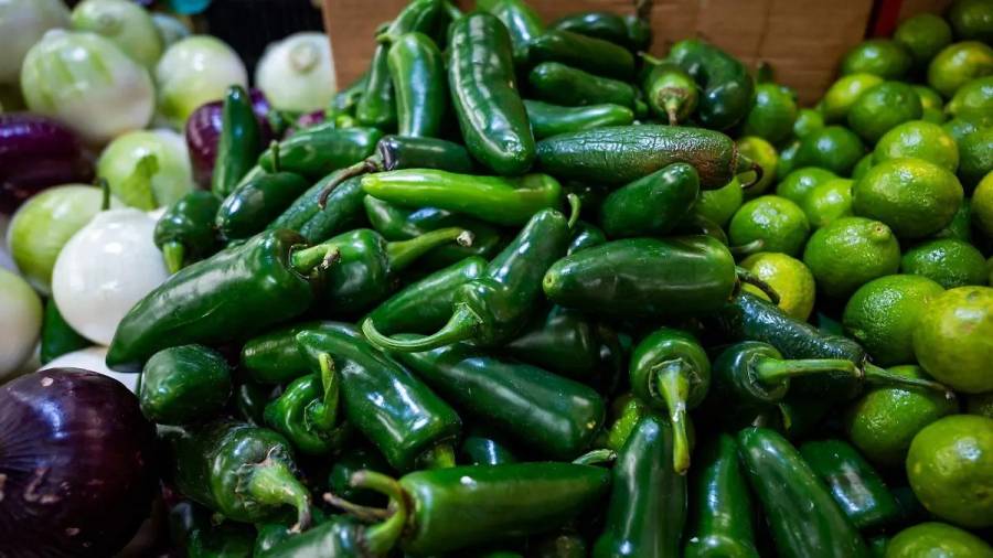 COFEPRIS descarta presencia de Salmonella en empaque de jalapeños en Nuevo León