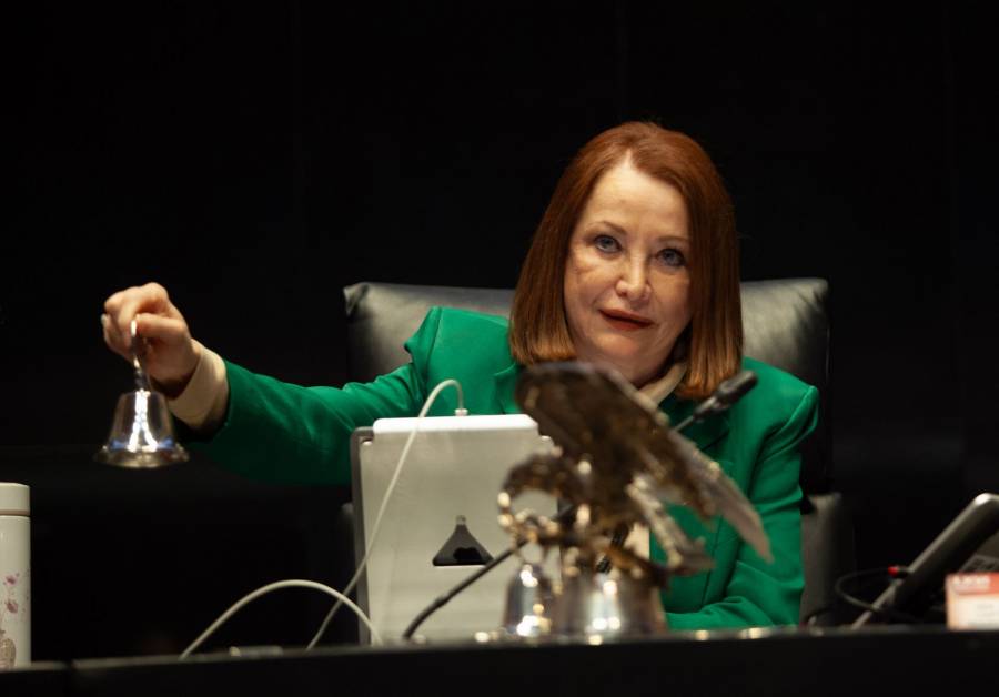 Laura Itzel Castillo aplaza informe del Senado mientras se recupera de fractura de tobillo
