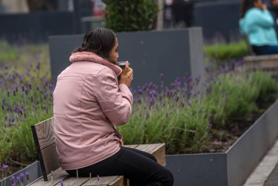 Clima estable y mañanas frescas en el Valle de México este 15 de agosto