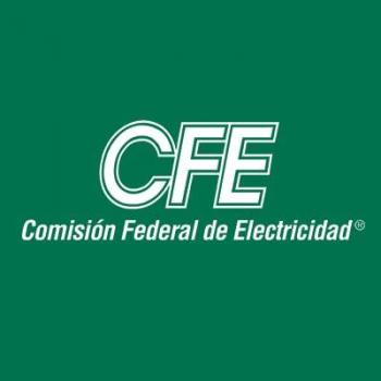 Denuncian en Senado presunta concentraci&oacute;n de contratos millonarios de CFE con empresas vinculadas a HR