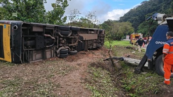 Al menos ocho muertos en accidente de autob&uacute;s en Brasil