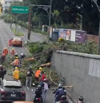 Morena prepara denuncia contra funcionarios de Miguel Hidalgo por derrumbe en Escandoacuten
