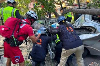 Fuera de peligro menor lesionada tras ca&iacute;da de &aacute;rbol en Alameda