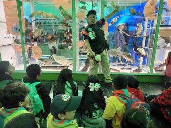Sedema presenta una semana de ciencia, naturaleza y diversi&oacute;n en el Museo de Historia Natural y Cultura Ambiental