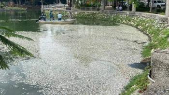 Cientos de peces muertos en la Laguna de las Ilusiones por fen&oacute;meno natural
