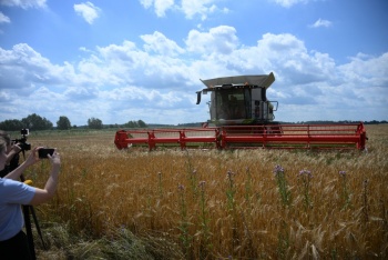 La sequ&iacute;a hist&oacute;rica afectar&aacute; la cosecha de cereales en Alemania en 2026