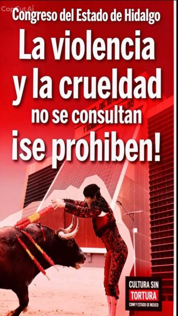 Animalistas impugnan rechazo de amparos y alistan protestas contra corridas de toros en Hidalgo