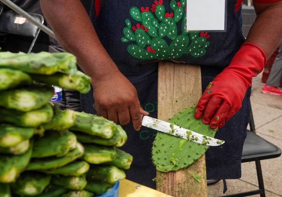 Feria del Nopal ofrecerá gastronomía y actividades gratuitas en el Monumento a la Revolución